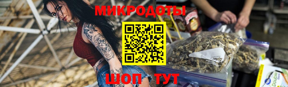 Псилоцибиновые грибы Cubensis Краснодар